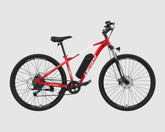 EMotorad T-Rex Air EBike